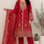 Ruby Red Heavy Embroidered Organza Kurta Set